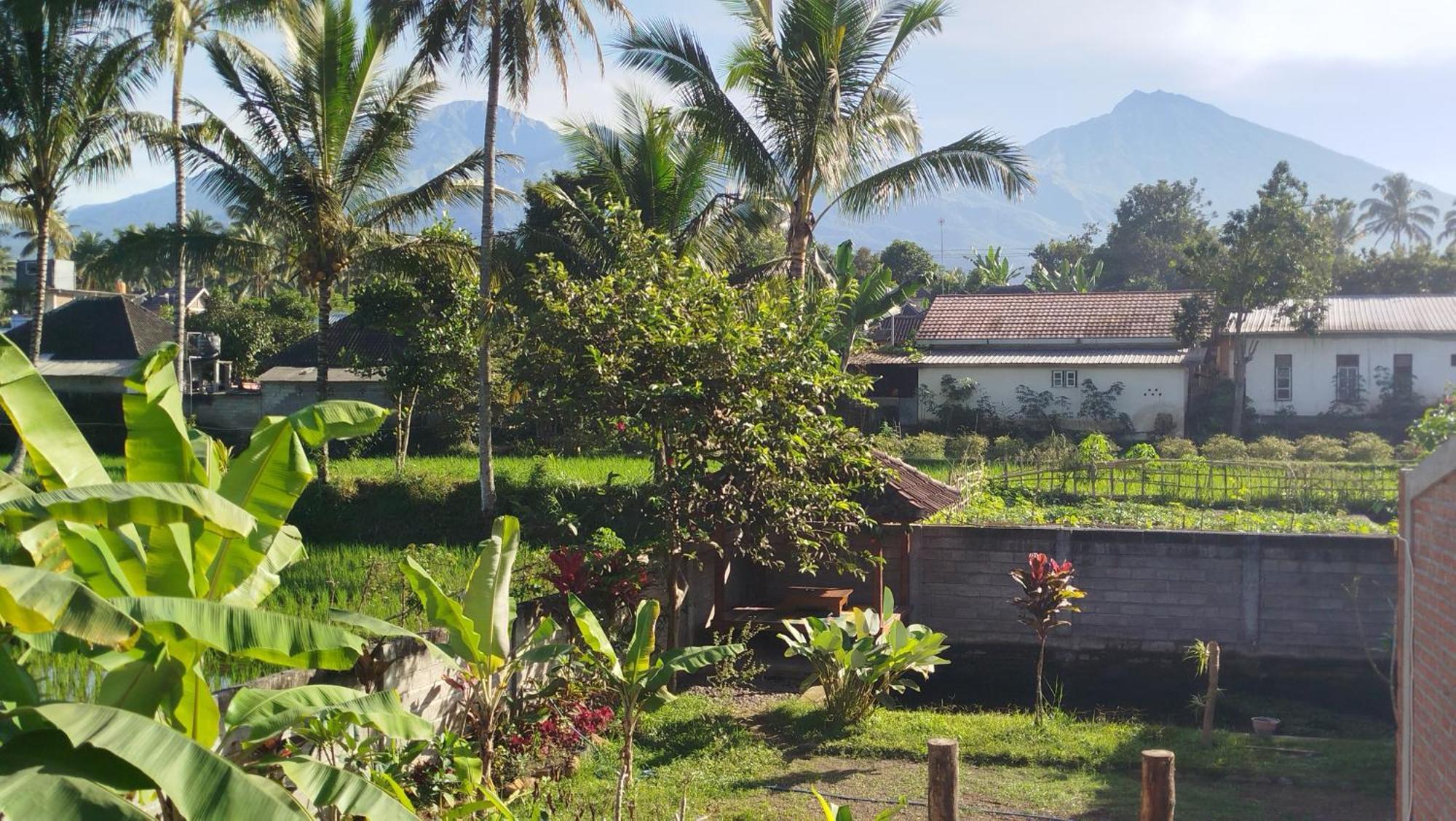 Arista Homestay Tetebatu Ngoại thất bức ảnh