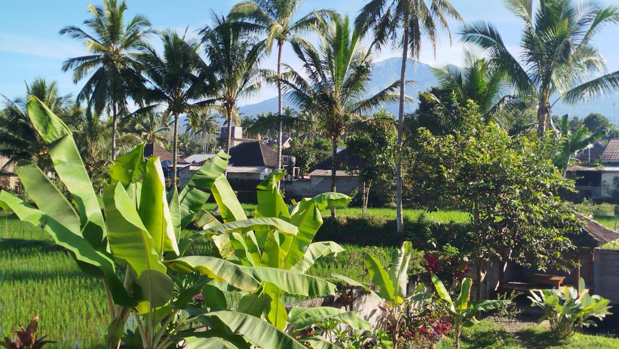 Arista Homestay Tetebatu Ngoại thất bức ảnh