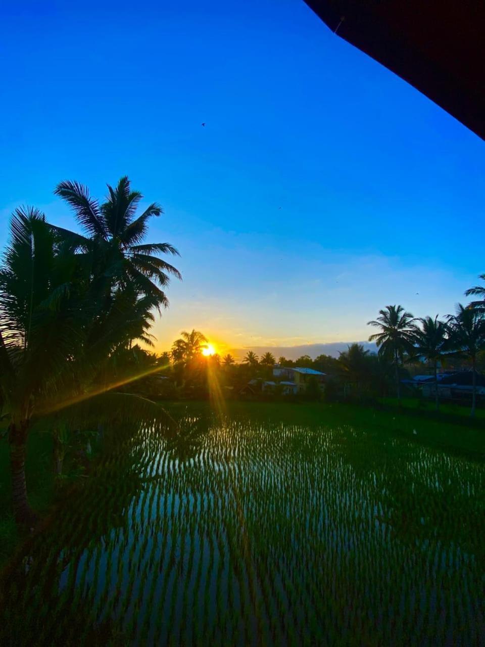 Arista Homestay Tetebatu Ngoại thất bức ảnh